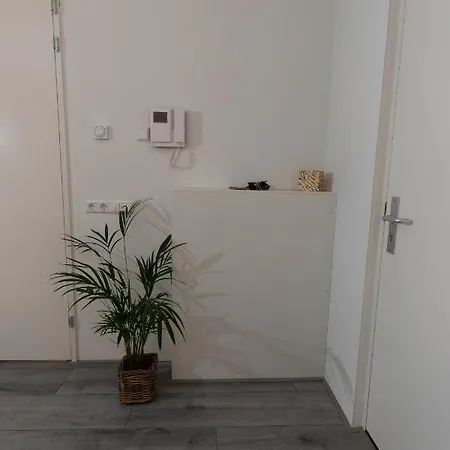 Greenstay Apartman *